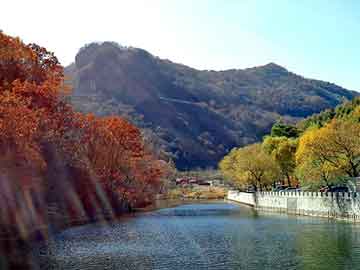 禹城24周能吃打胎药吗（孕24周可以打掉吗）